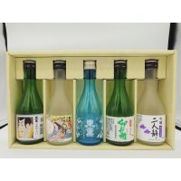 【期間限定】【送料込】　飲みきり5本セット